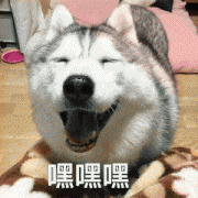 如何剪辑视频?用这四招,轻松裁剪视频文件!